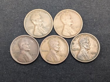 Five 1909 VDB Lincoln Wheat Cents. Various grades.