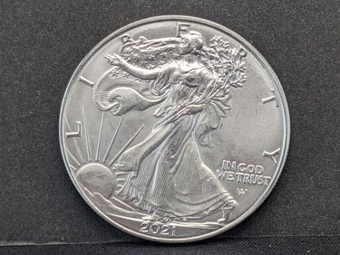 2021 Type 2 Silver Eagle