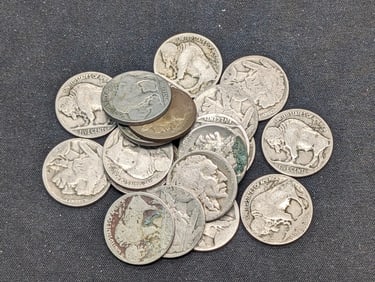 20 Dateless Buffalo Nickels