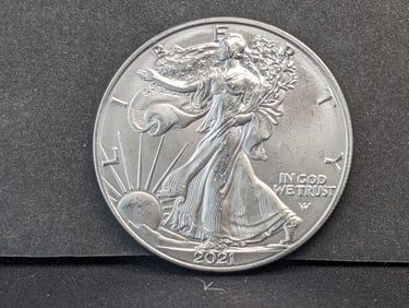 2021 Type 2 Silver Eagle