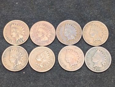 1882, 90, 99, 1900,02,03,06,07 Indian Head Pennies (8 Coins)