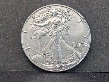 2021 Type 2 Silver Eagle