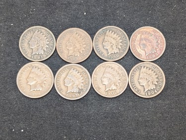 1890, 91, 96, 97, 1902, 04, 05, 07 Indian Head Cents (8 Coins)