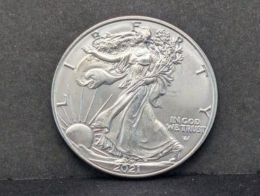 2021 Type 2 Silver Eagle