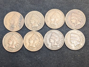 1899, 1901 to 07 Indian Head Pennies (8 Coins)