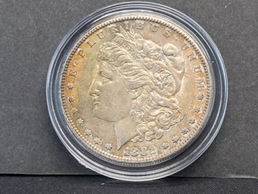 1882-S Morgan Uncirculated/Toned
