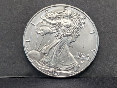 2021 Type 2 Silver Eagle