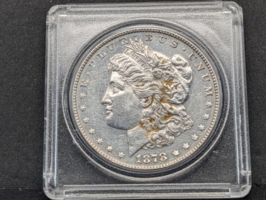 1878 7TF Rev 78 Morgan Dollar UNC Details