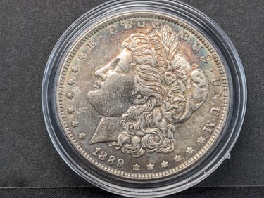 1889 Morgan Dollar AU+/Beautiful Toning