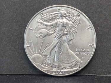 2021 Type 2 Silver Eagle