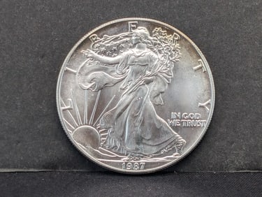1987 Silver Eagle