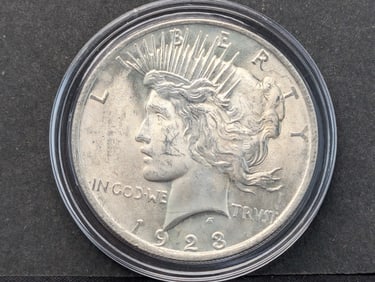 1923 Peace Dollar Brilliant Uncirculated
