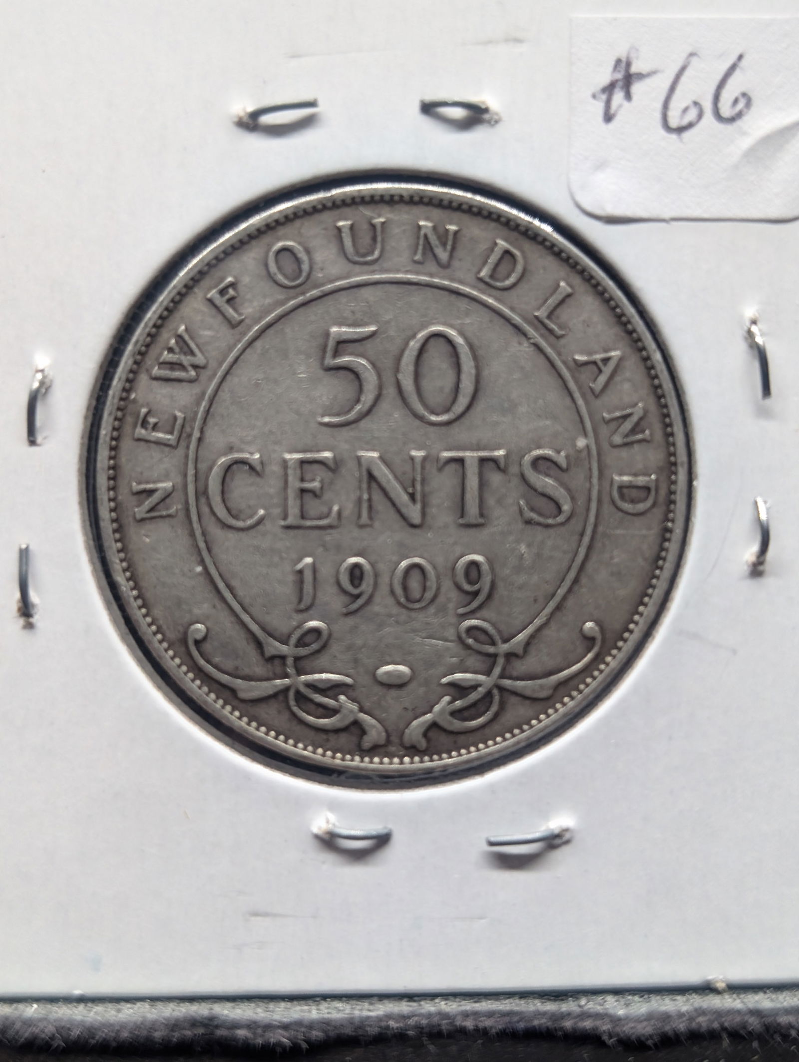 1909 Canada Newfoundland Half Dollar (1 of 2)