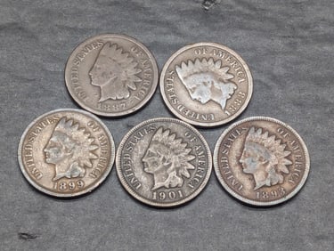 5 Mixed Date Indian Head Cents, Nice Cond.