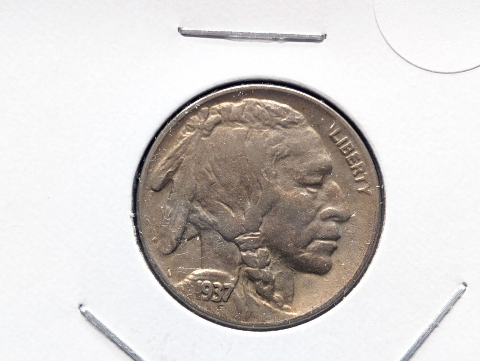 1937-D Buffalo Nickel MS, Full Horn (1 of 3)