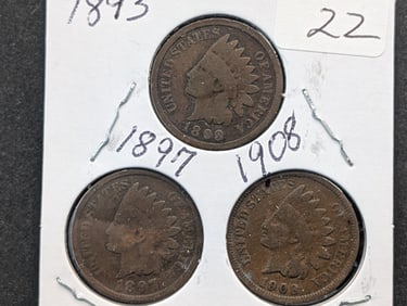 1893, 1897, 1908  Indian Head Pennies