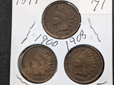 1899, 1900, 1908 Indian Head Pennies