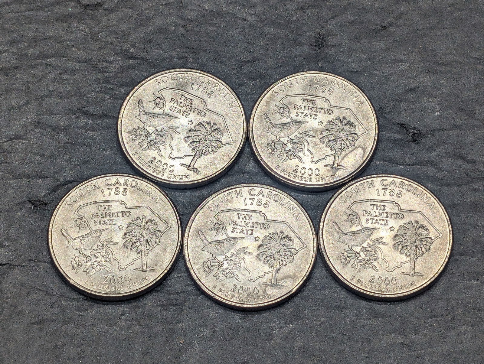 (5) 2000-P MS South Carolina State Quarter ERRORS (1 of 2)