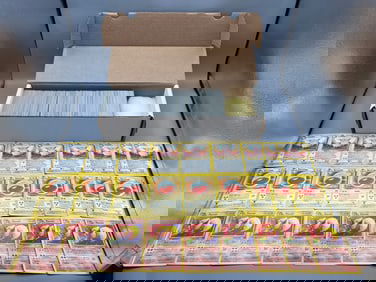 Box of (16) 1999 Pokemon Jungle Complete Rare, Uncommon, & Common Non Holo 48 Card Sets W/ Many