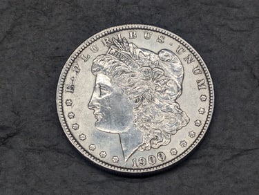 1900 Morgan Dollar