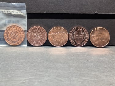 Grab Bag of 1 Oz. Each .999 FINE COPPER Various Designed Coins