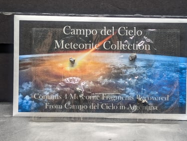 4 Meteorite Fragments Recovered from Campo del Cielo in Argentina