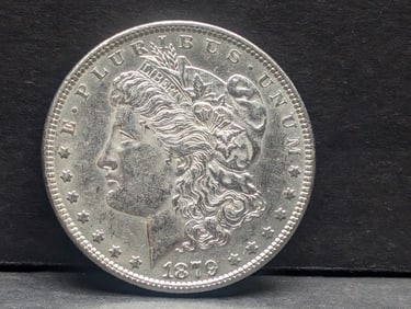 **HIGH GRADE and BRIGHT & FLASHY** 1879 Morgan Silver Dollar
