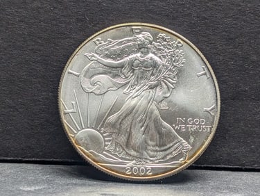 **NICE RAINBOW TONED** 2002 American Silver Eagle