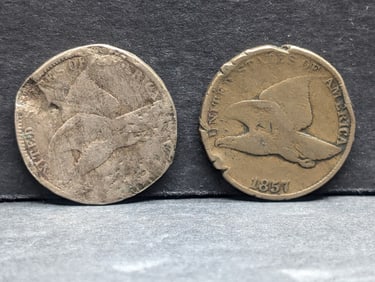 Lot of Two Flying Eagle Cents