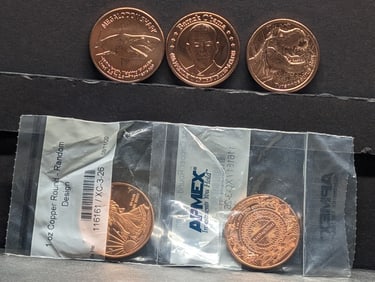 Grab Bag of 1 Oz. Each .999 FINE COPPER Various Designed Coins