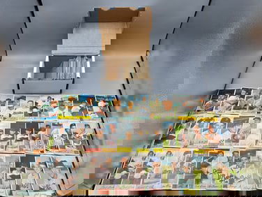 Lot of (100) 1954 Bowman Baseball Cards - Varying Conditions