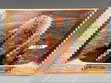 1955 Bowman Nellie Fox #33