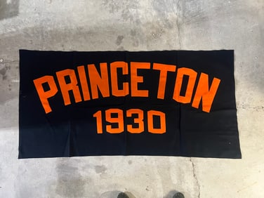 Vintage Princeton 1930 Wool Blanket