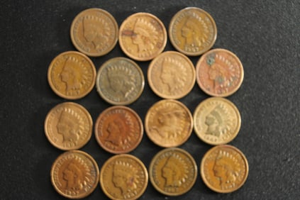 (15) 1907 Indian Head Cents