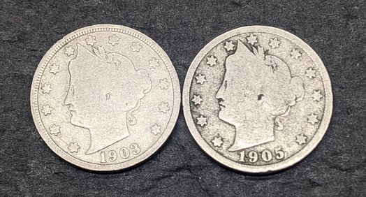 1903 & 1905 V Nickels