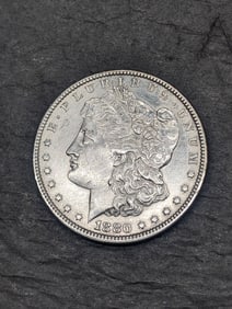 1880 Morgan Silver Dollar