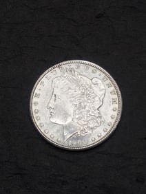 1900 Morgan Silver Dollar