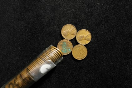 Roll of 50- 1930 Lincoln Wheat Cents