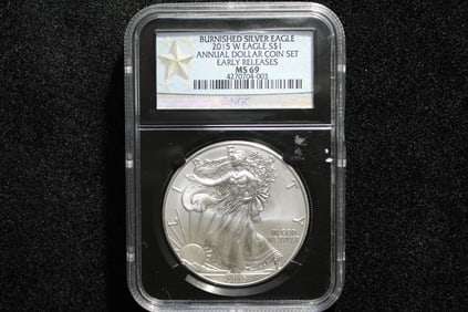 2015 W early releases Burnished American Silver Eagle MS 69 by NGC  Black Core