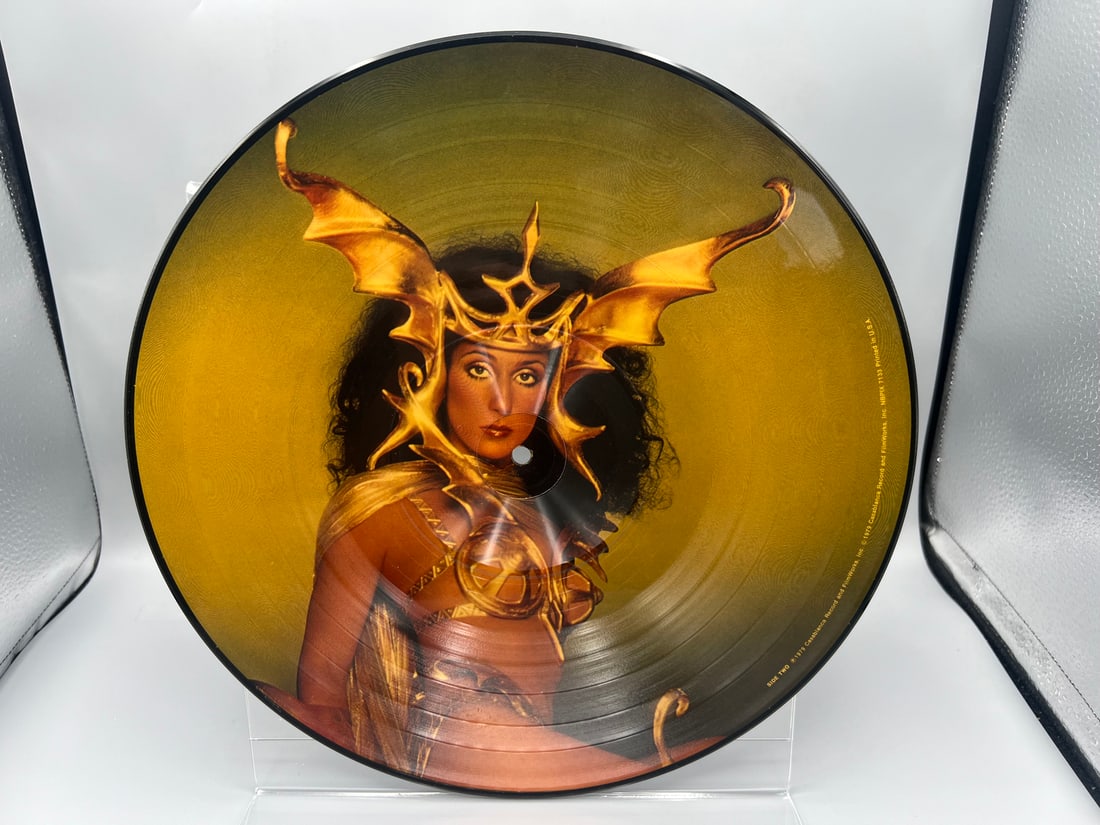 Cher: Take It Home Picture Disc (1979), in clear polyvinyl envelope sleeve: Cher: Take It Home Picture Disc (1979), in clear polyvinyl envelope sleeve