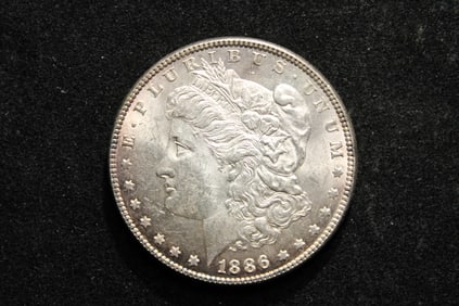 1886 Morgan Dollar. Very choice BU with light toning. Lustrous.