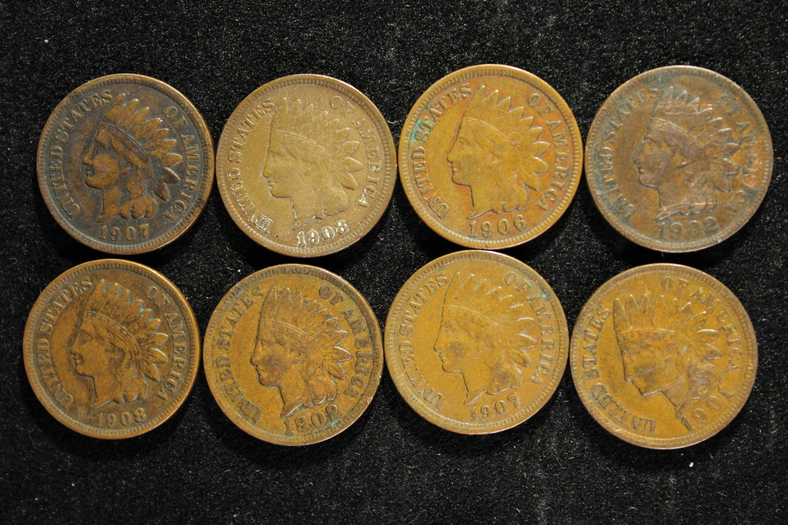 8 Indian Head Cents - 1901, 1902x2, 1906, 1907x2, 1908x 2, (1 of 2)