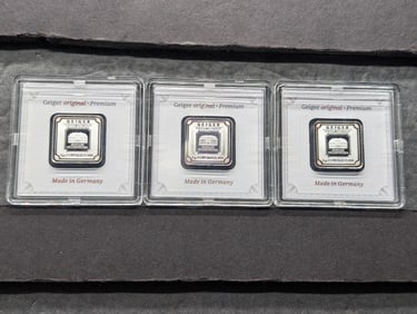5 Grams Each .999 FINE SILVER Schloss Guldengossa Designed Art Bar in Protective Case (3 PCS)