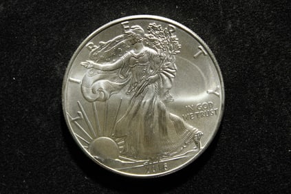 2016 American Silver Eagle .999 Fine Silver One Troy Ounce - MS