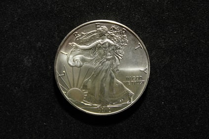 2012 American Silver Eagle .999 Fine Silver One Troy Ounce - MS