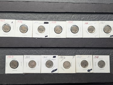 (13 coins) Buffalo Nickels Various Dates  Philadelphia  Mint