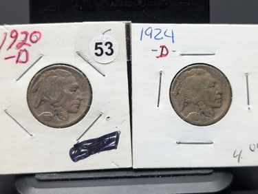 (2 coins) 1920 D and 1924 D Buffalo Nickels