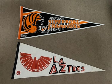 Lot of (8) Assorted Vintage Sports Pennants