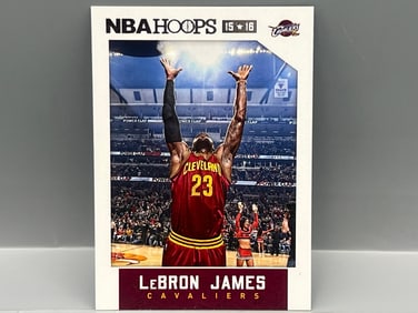 2015-16 NBA Hoops LeBron James Chalk Toss #14