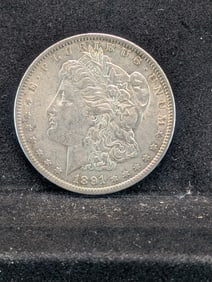 1891 Morgan Silver Dollar